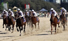 Magic Millions Beach Run 18