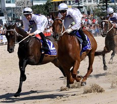 Magic Millions Beach Run 20