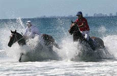 Magic Millions Beach Run 23