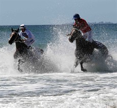 Magic Millions Beach Run 25