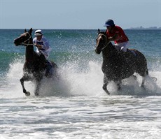 Magic Millions Beach Run 26