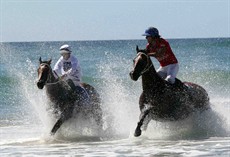 Magic Millions Beach Run 27