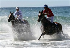 Magic Millions Beach Run 28