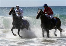 Magic Millions Beach Run 29