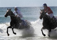 Magic Millions Beach Run 30