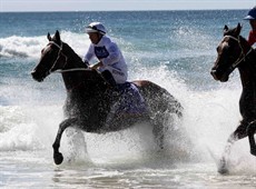 Magic Millions Beach Run 31