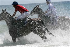 Magic Millions Beach Run 33