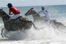 Magic Millions Beach Run 34