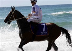 Magic Millions Beach Run 40