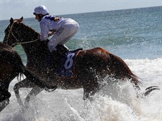 Magic Millions Beach Run 41