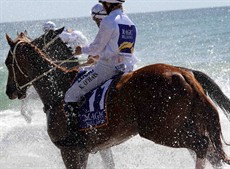 Magic Millions Beach Run 43