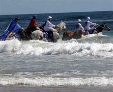 Magic Millions Beach Run 47