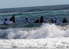 Magic Millions Beach Run 46