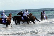 Magic Millions Beach Run 49