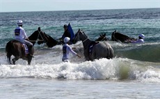 Magic Millions Beach Run 50