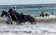 Magic Millions Beach Run 51