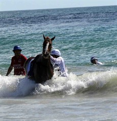 Magic Millions Beach Run 52