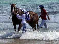 Magic Millions Beach Run 53