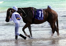 Magic Millions Beach Run 54