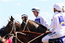 Magic Millions Beach Run 55