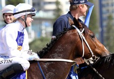 Magic Millions Beach Run 62