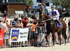 Magic Millions Beach Run 64