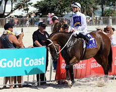 Magic Millions Beach Run 67