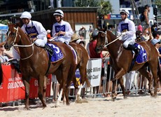 Magic Millions Beach Run 71