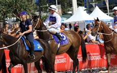 Magic Millions Beach Run 72