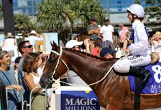 Magic Millions Beach Run 74