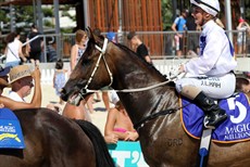 Magic Millions Beach Run 75