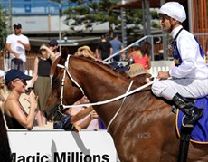 Magic Millions Beach Run 76