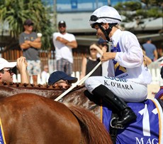 Magic Millions Beach Run 77