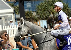 Magic Millions Beach Run 79