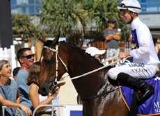 Magic Millions Beach Run 80