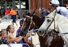 Magic Millions Beach Run 84