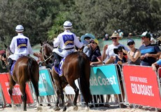 Magic Millions Beach Run 87