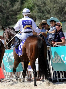 Magic Millions Beach Run 86