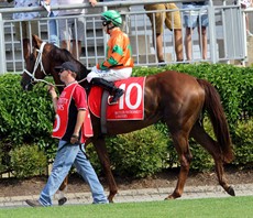 Little Miss Monaco 2