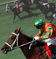 Little Miss Monaco 11