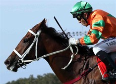 Little Miss Monaco 15