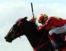 Fast Arrow 17
