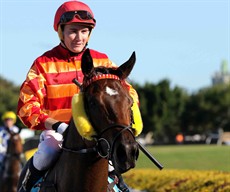 Cooroi Chase 16