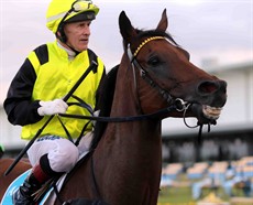 The Amateur 12