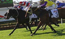 Battle Of The Bush Final 76