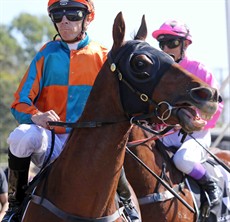 The Hussler 19