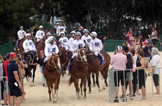 Beach gallops 1