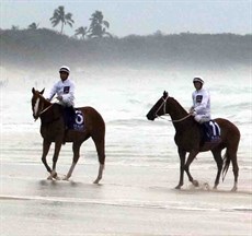 Beach gallops 5