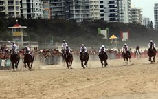 Beach gallops 10