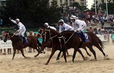 Beach gallops 16